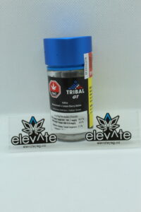 Tribal GT Pre Rolls 5 x 0.5g