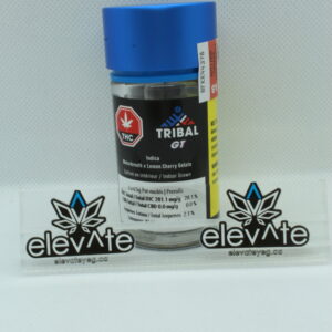 Tribal GT Pre Rolls 5 x 0.5g