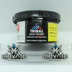 Tribal GT 3.5g