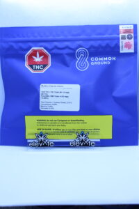 Common Ground Blueberry Cupcake 14g