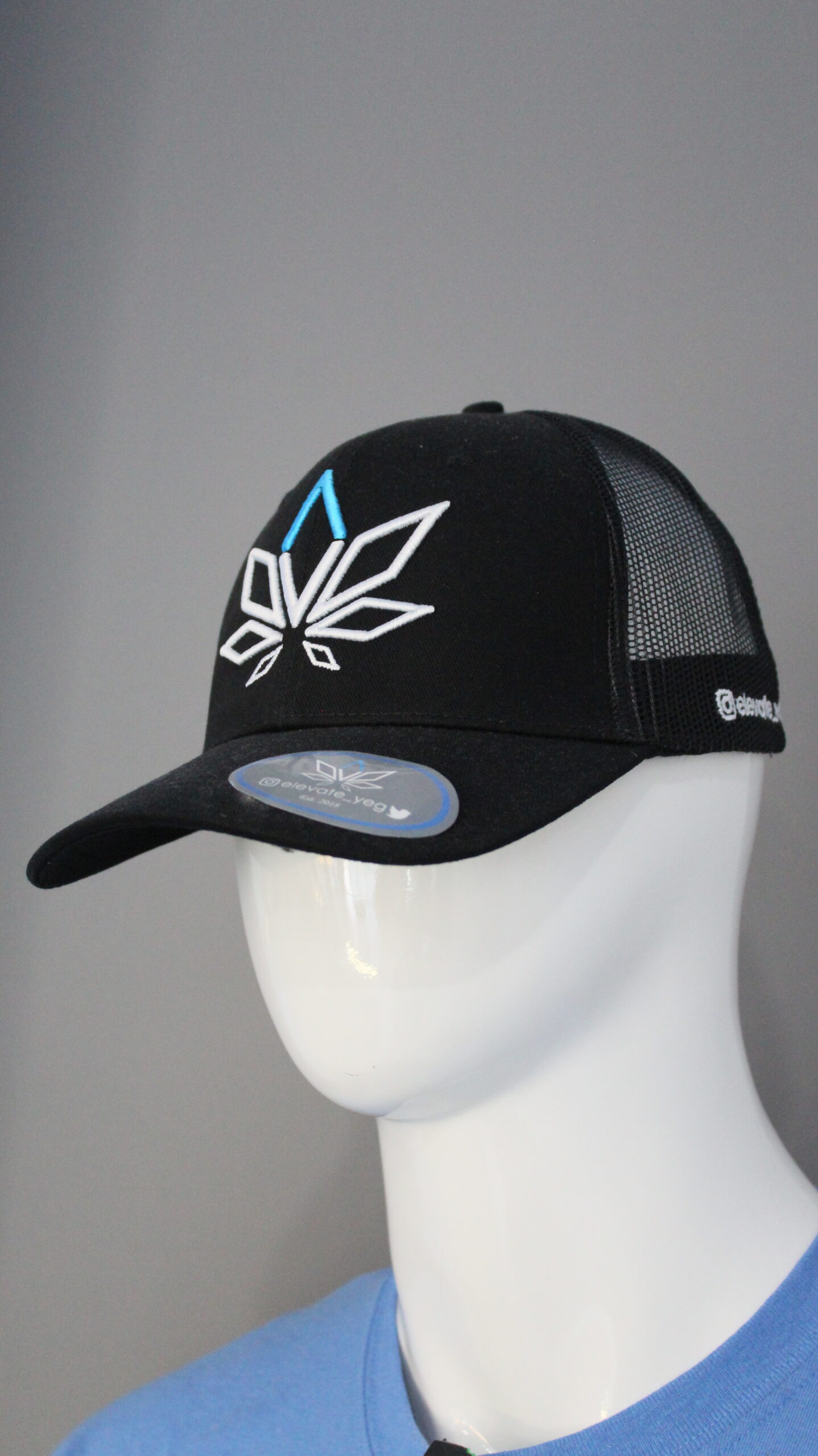 PROMO LEAF Ball Cap