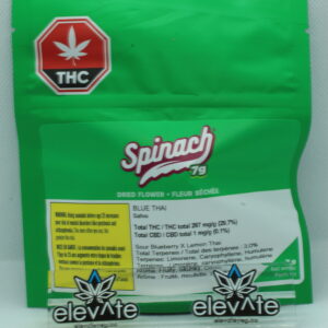 Spinach Blue Thai 7g