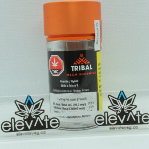 Tribal Neon Sunshine Pre Rolls 5 x 0.5g