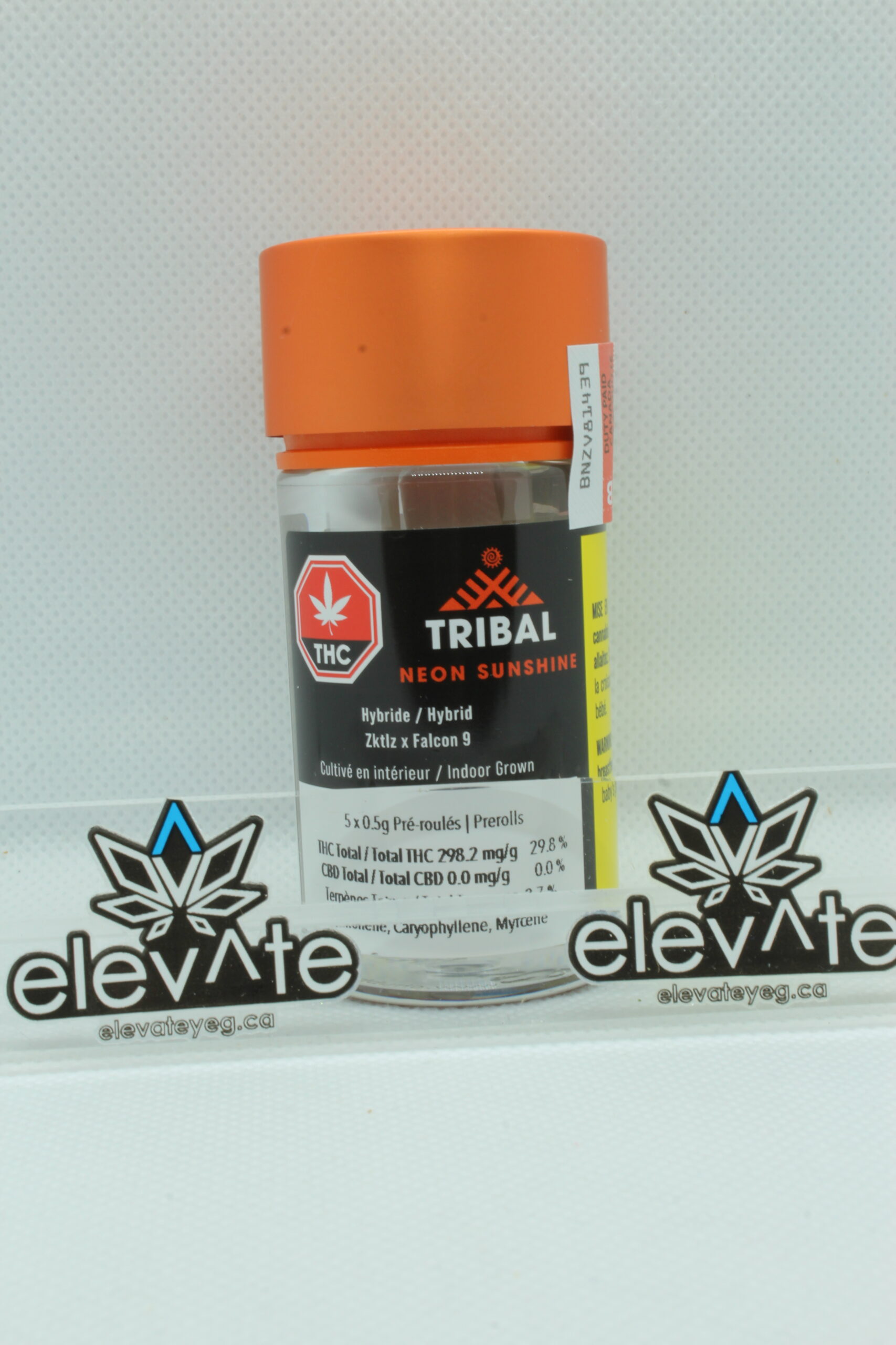 Tribal Neon Sunshine Pre Rolls 5 x 0.5g