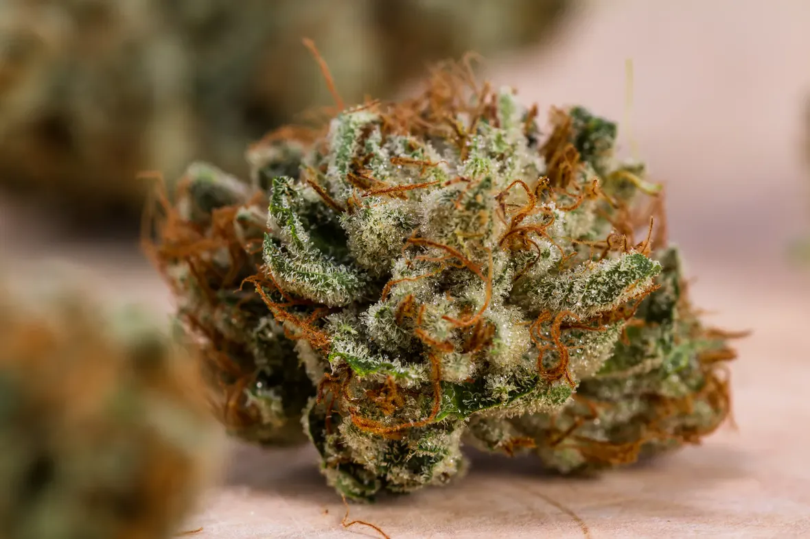 Trimmed cannabis bud on a wooden table