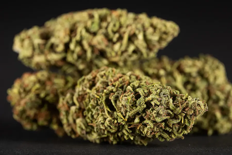 Cannabis flower bud